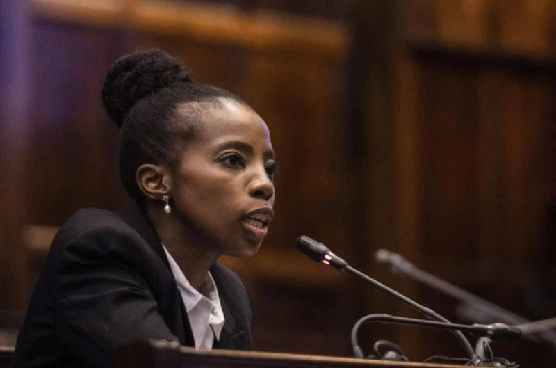 Rise Mzansi looks to Public Protector's report on Mashatile's mansions 2 Gcaleka 800x529 1