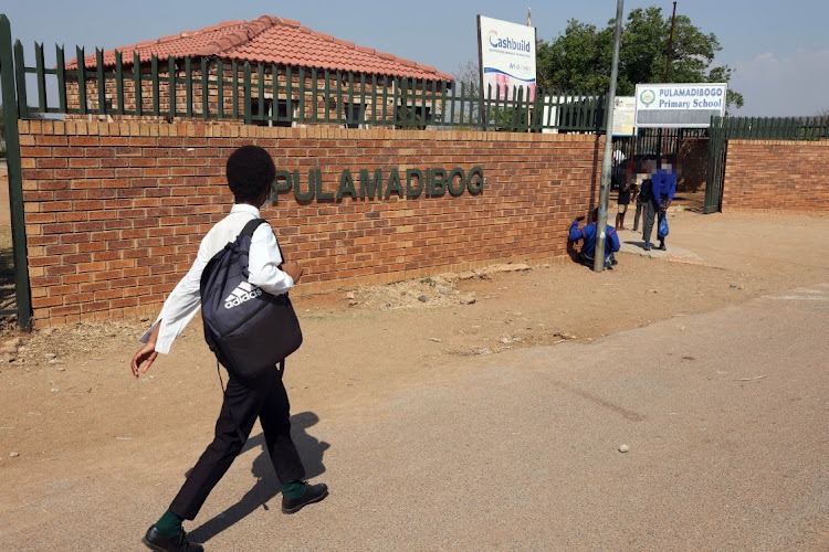 Learners who consumed daggalaced cookies discharged from hospital