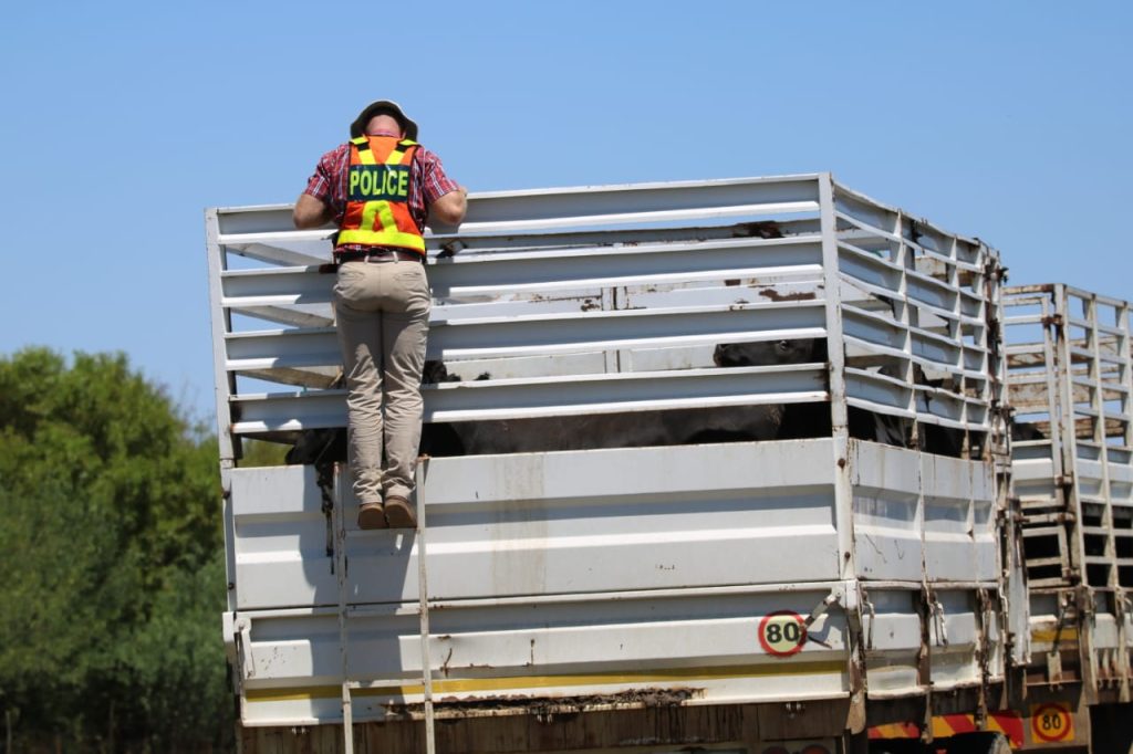 More than 350 suspects arrested in Cross Border operation 2 a4