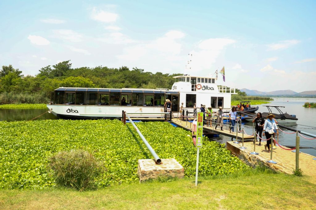 Task team established to clear alien invasive plants in Vaal River
