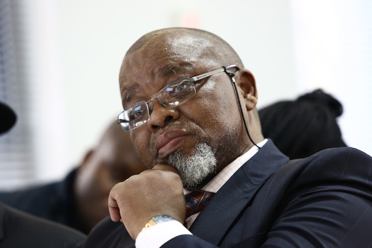 Investigating Directorate rubbishes reports of Mantashe imminent arrest