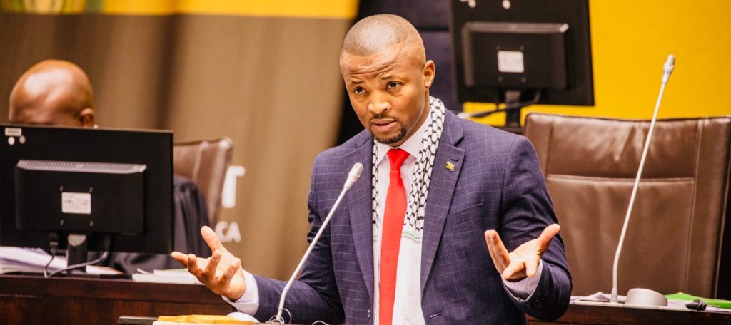 Parliament calls for probe following the kidnapping Nqabayomzi Kwankwa