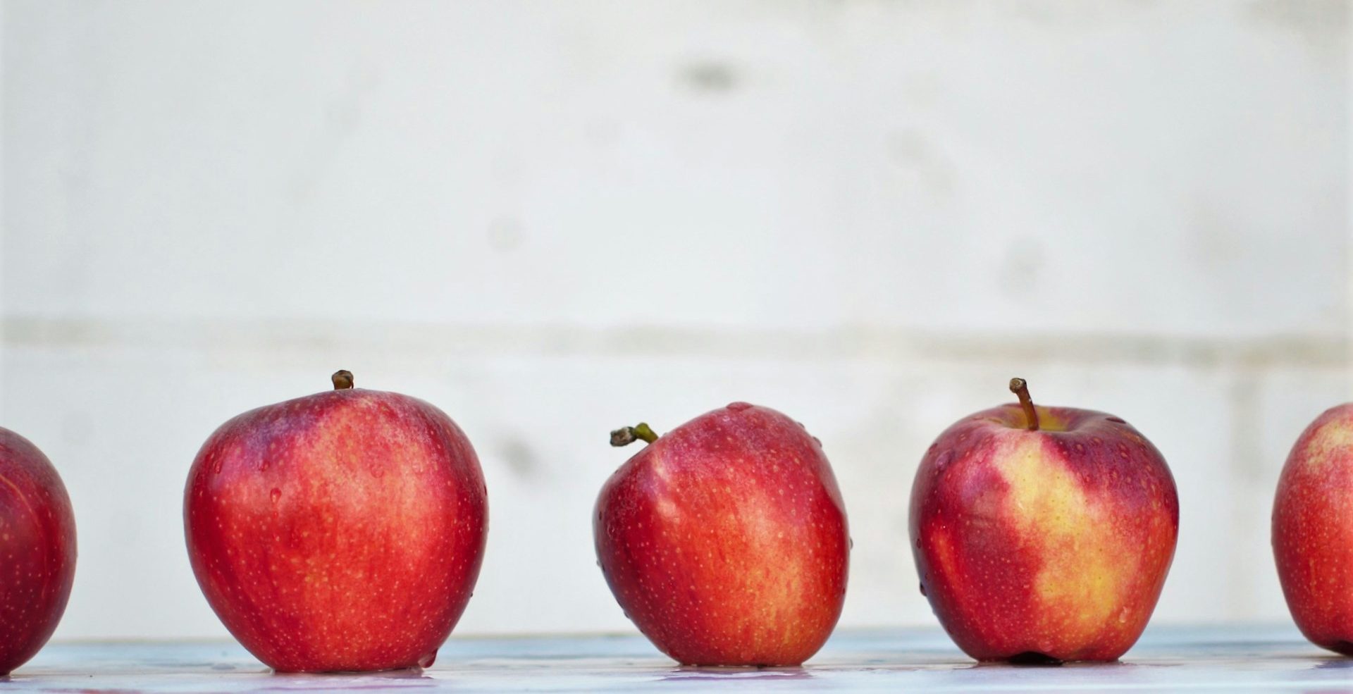 isabella-fischer-uSPjZzYwXO4-unsplash