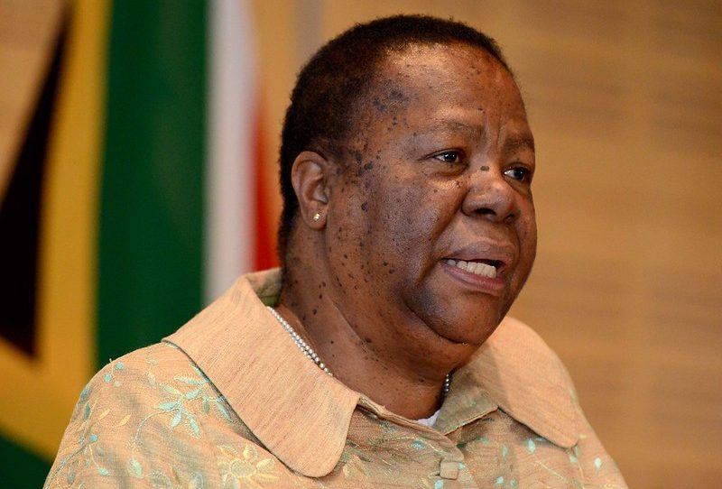 'Show me the evidence or else...': Pandor to Malema on VBS bond allegations 48118926418_d240f48b97_c
