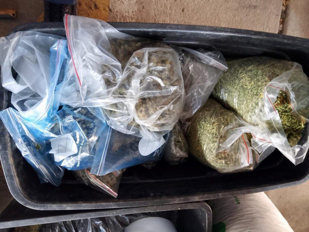 Police bust large-scale dagga operation in Sasolburg