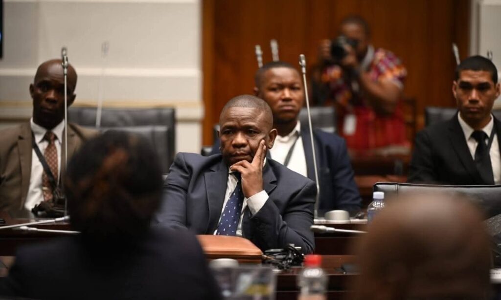 Gauteng rebuke Mkhwanazi's on AmaPanyaza's legality