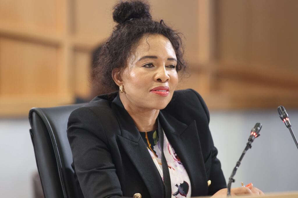 Madlanga Commission: The fallout of Dr. Mashazi's conduct 1 Madlanga Commission: The fallout of Dr. Mashazi's conduct