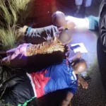 644517527_1347000744118229_6114544986108353571_n (1)