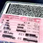 Don't Get Stopped: Crucial licence renewal deadline before long weekend Driving-licence-South-Africa