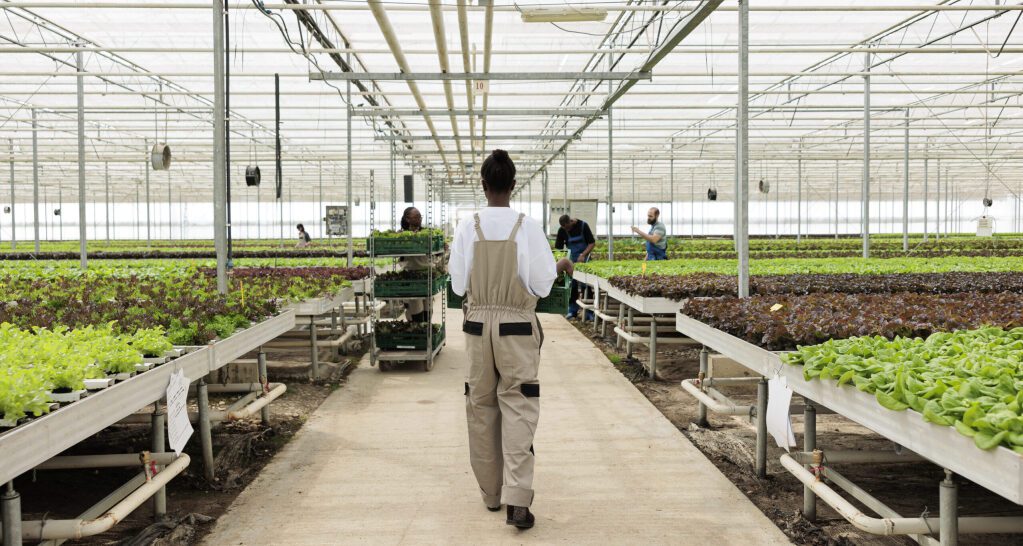 Trade, Industry and Competition Minister Parks Tau published a 30-day notice, inviting public comment on the proposed designation of the Vaal Special Economic Zone (SEZ).