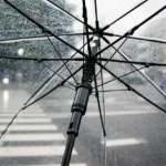 holdmypixels-umbrella-4425160_1280