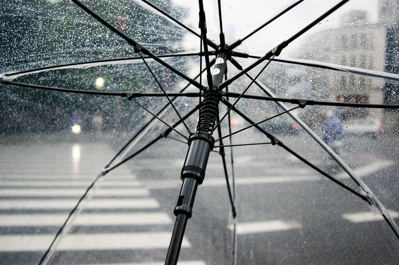 holdmypixels umbrella 4425160 1280