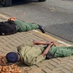 Corruption Allegations Surface: Gauteng safety department denounces traffic wardens HJ5nhRdWcAAy-69 (1)