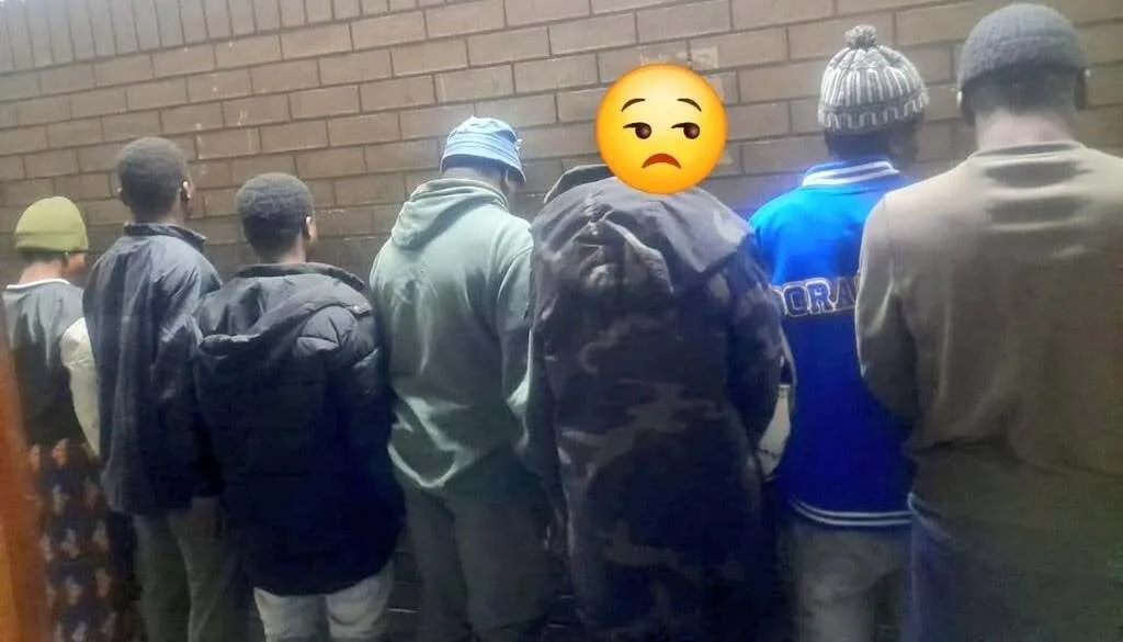 Three alleged robbers caught in jaw-dropping K9 police operation 2 746452181 1457441046412317 8421706980239338164 n 1